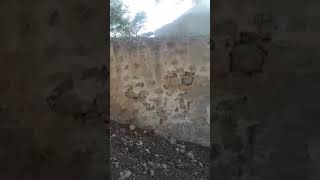 مقام اليشخ عمرو في قريه جبع اجزم حيفا المهجره وباقي المقبره