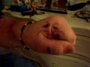 my name es grapo