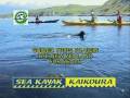 Kayaking with Fur Seals