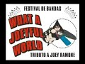 Murro na Cara - What a Joeyful World