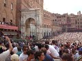 tratta palio dell'assunta 2008: tartuca con elimia