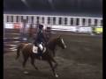 videos de Indoor Staphorst 18 oktober 2008 