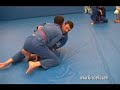 rodrigo gracie butterfly guard sweep