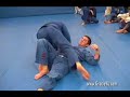rodrigo gracie butterfly guard sweep