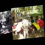 Canaces2008