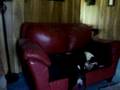 brockman kids palying