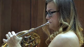 Příznivce komorní hudby potěšil hornový koncert