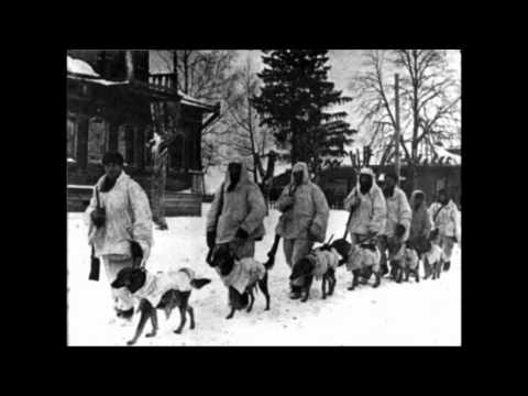 YouTube Трейлер