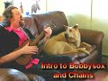 Elvis the Singing Dog!!! (with Go Cat Dave)