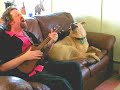 Duet with Elvis on Bobbysox and Chains (intro) Duet with Elvis on Bobbysox and Chains (intro)
