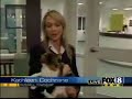 cat-attacks-fox8-news-reporter.html