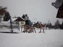 First taste of snow