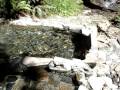 Goldmyer Hotsprings, WA