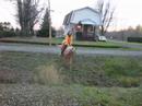 Mon cheval et moi