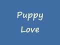 puppy love.wmv puppy love.wmv