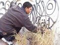 soek en axion