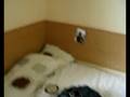 My room at firhill court