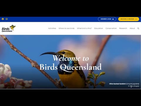 <p>Introduction to the new Birds Queensland website</p>
 video thumbnail