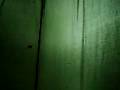 Burza/ Storm in a tent