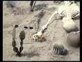 Hannes Wader - Das Bier in dieser Kneipe