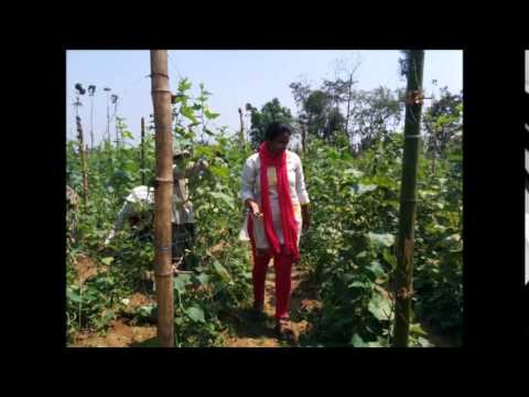 how to agriculture india