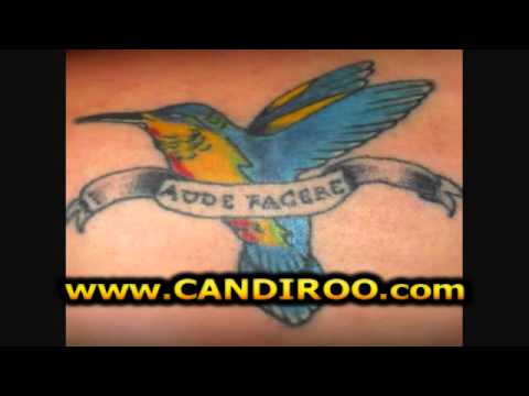 смотреть онлайн видео kolibri tattoo vogel tattoos смотреть онлайн видео kolibri tattoo vogel tattoos
