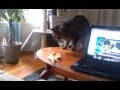 Terrifying banana peel! - YouTube