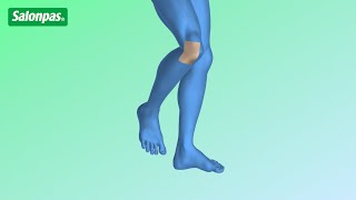 膝蓋