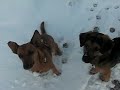und Schnee, die Zweite 013.MOV und Schnee, die Zweite 013.MOV