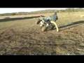 freestyle-two-people