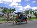 Cola Loca - Zandunga