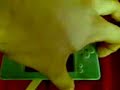 M3 DS Simply + EZ 3-in-1 IN ACTION M3 DS Simply + EZ 3-in-1 IN ACTION