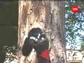Calcetin con rombosman - Enga�ado pro Lulu Serrucho