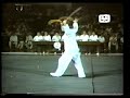Chinese Double Broadsword
