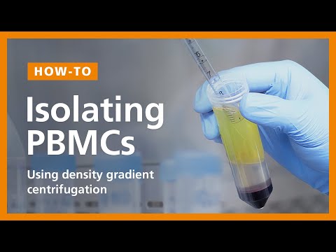 how to isolate wbc