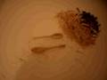 videos de A little Film About Whittling