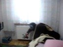 Viroviti?ki Masakr Viroviti?ki Masakr