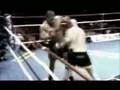 NOKAUT, Cro Cop, Ernesto Hoost, Ricky Nickolson, Bob Sapp