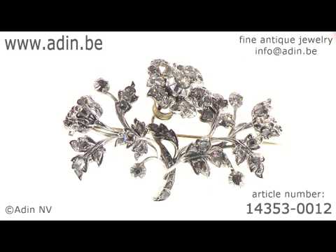 how to transplant roses from a cutting