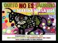 El Toro barroso