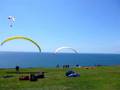 california-torrey_pines-tandem_paragliders_takeoff.MOV