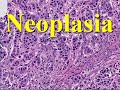 Medical School Pathology, Chapter 7a 1