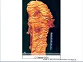Medical School Pathology, Chapter 7a 2