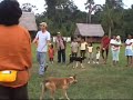 ma-tarzan-lo-fa.html