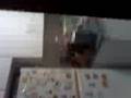 videos de Scaring my dad!!! lol funny