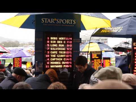 cheltenham festival