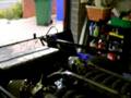 Lambo replica - BMW V12 with lambo exhaust box