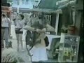 Crazy & funny animals clipshow (cool)