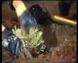 ZDF report on guerrilla gardening in London