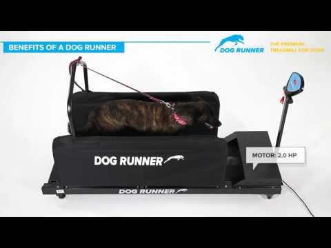 Dogrunner Hundelaufband - Large